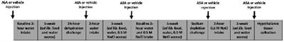 Impaired Fluid Intake, but Not Sodium Appetite, in Aged Rats Is Mediated by the Cyclooxygenase-Prostaglandin E2 Pathway